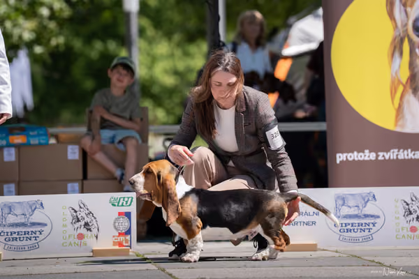 Florinka Olomouc — Florinka - sobota – 6. června 2026