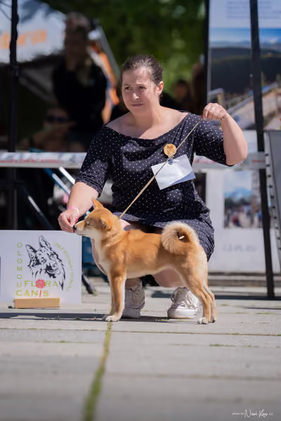 Florinka Olomouc — Florinka - sobota – 6. června 2026