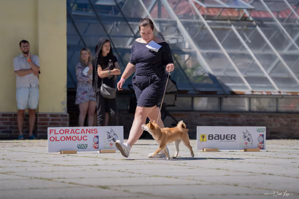 Florinka Olomouc — Florinka - sobota – 6. června 2026