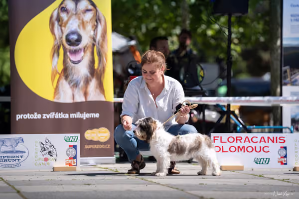 Florinka Olomouc — Florinka - sobota – 6. června 2026
