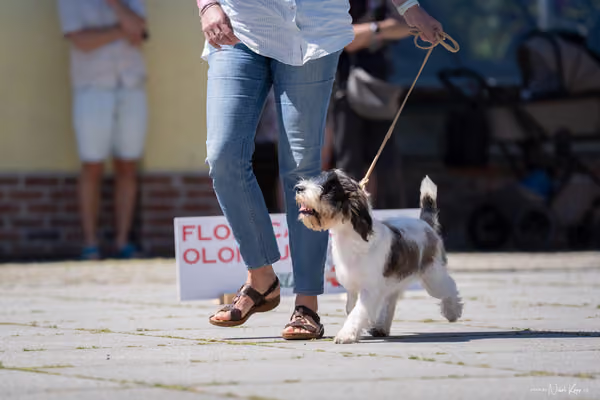 Florinka Olomouc — Florinka - sobota – 6. června 2026