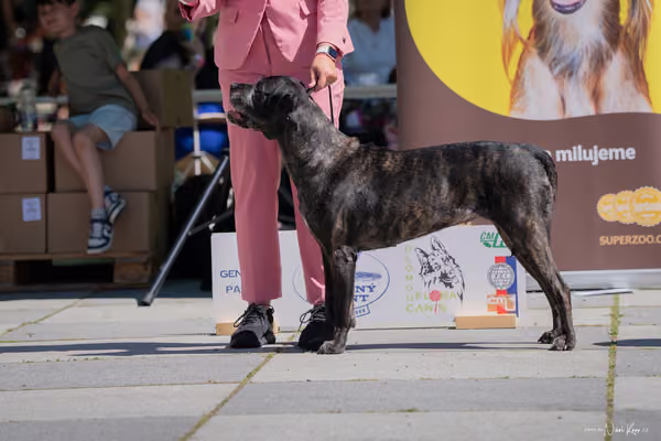 Florinka Olomouc — Florinka - sobota – 6. června 2026