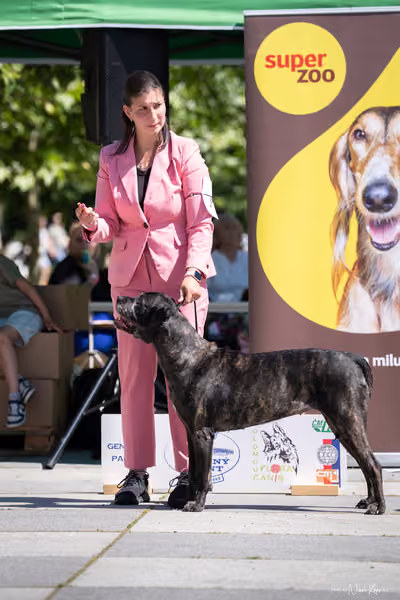 Florinka Olomouc — Florinka - sobota – 6. června 2026