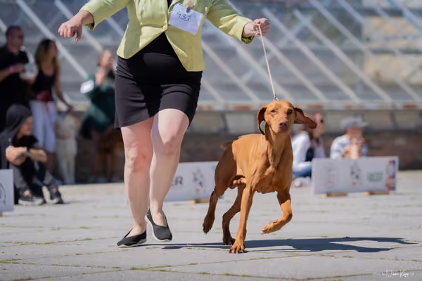 Florinka Olomouc — Florinka - sobota – 6. června 2026