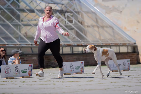 Florinka Olomouc — Florinka - sobota – 6. června 2026