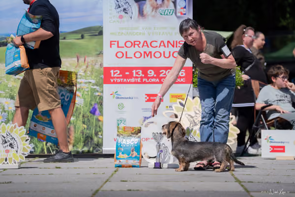 Florinka Olomouc — Florinka - sobota – 6. června 2026