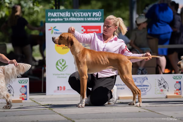 Florinka Olomouc — Florinka - sobota – 6. června 2026