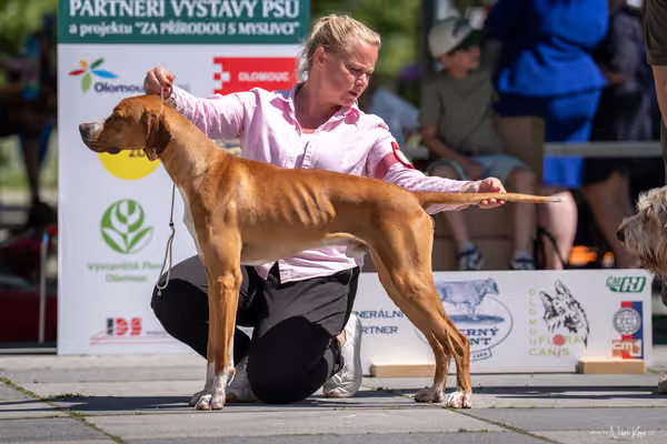 Florinka Olomouc — Florinka - sobota – 6. června 2026