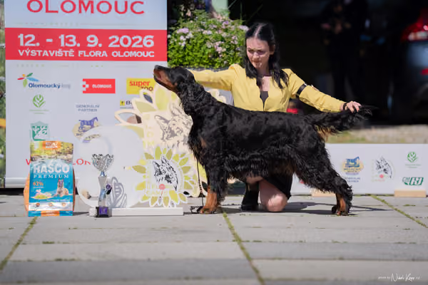 Florinka Olomouc — Florinka - sobota – 6. června 2026