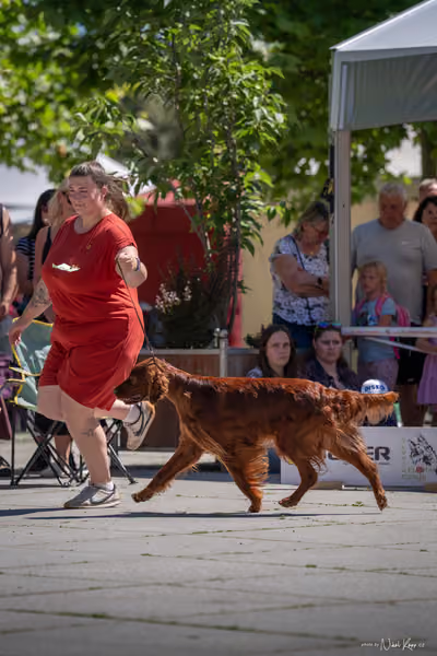 Florinka Olomouc — Florinka - sobota – 6. června 2026