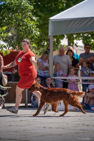 Florinka Olomouc — Florinka - sobota – 6. června 2026