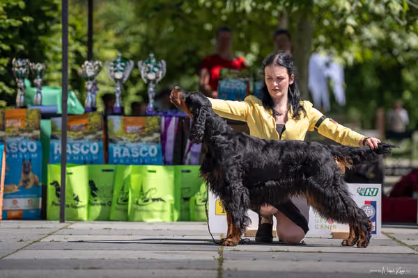 Florinka Olomouc — Florinka - sobota – 6. června 2026