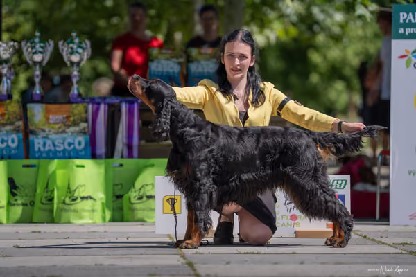 Florinka Olomouc — Florinka - sobota – 6. června 2026
