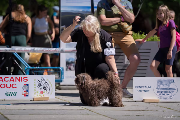 Florinka Olomouc — Florinka - sobota – 6. června 2026