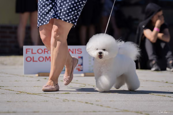 Florinka Olomouc — Florinka - sobota – 6. června 2026