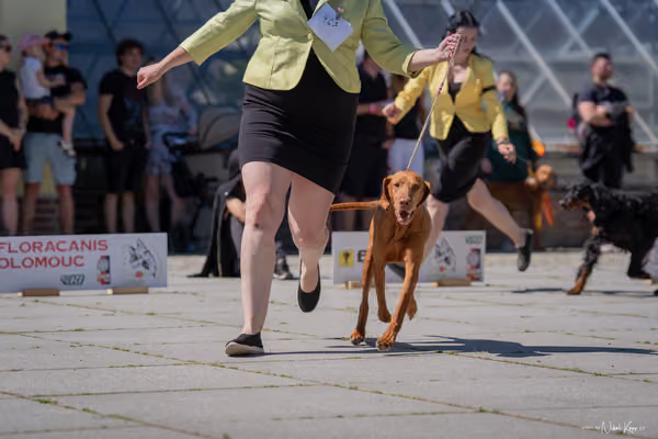 Florinka Olomouc — Florinka - sobota – 6. června 2026