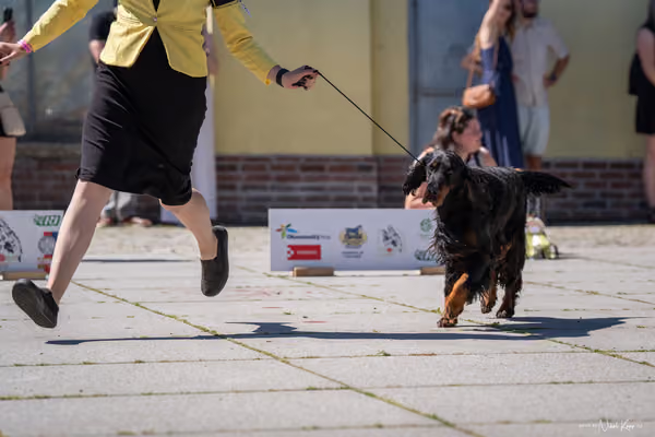 Florinka Olomouc — Florinka - sobota – 6. června 2026