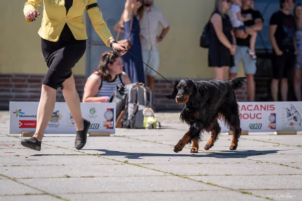 Florinka Olomouc — Florinka - sobota – 6. června 2026