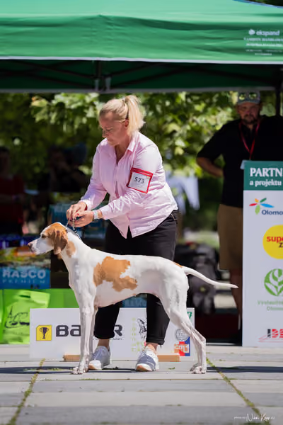 Florinka Olomouc — Florinka - sobota – 6. června 2026