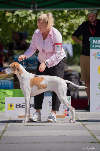 Florinka Olomouc — Florinka - sobota – 6. června 2026