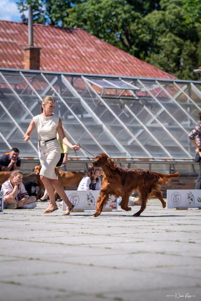 Florinka Olomouc — Florinka - sobota – 6. června 2026
