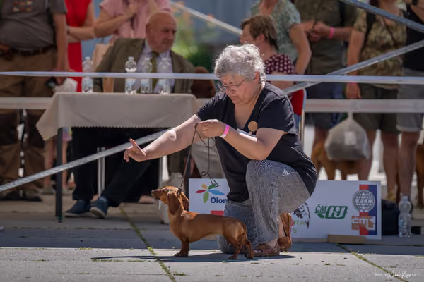 Florinka Olomouc — Florinka - sobota – 6. června 2026