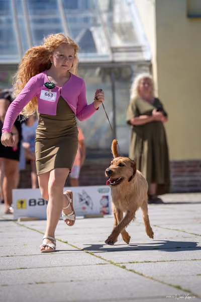 Florinka Olomouc — Florinka - sobota – 6. června 2026