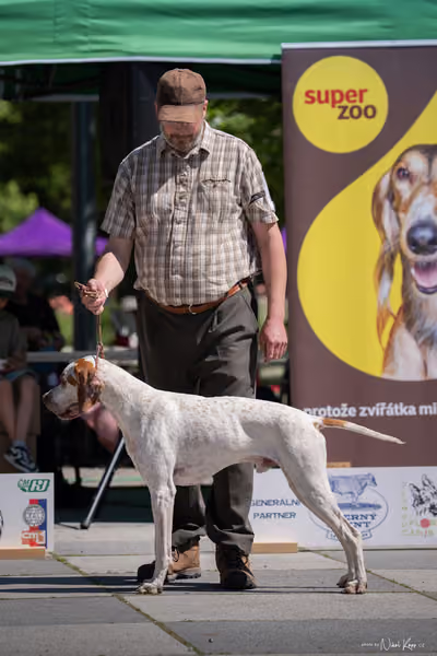 Florinka Olomouc — Florinka - sobota – 6. června 2026