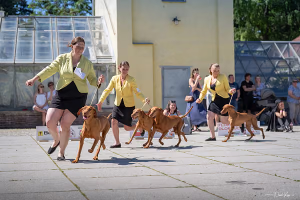 Florinka Olomouc — Florinka - sobota – 6. června 2026