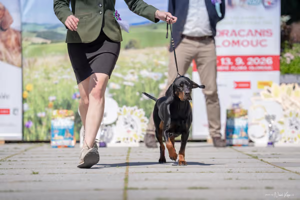 Florinka Olomouc — Florinka - sobota – 6. června 2026