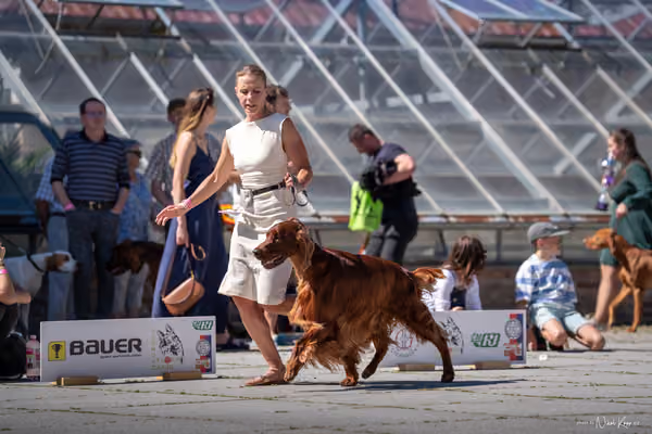 Florinka Olomouc — Florinka - sobota – 6. června 2026