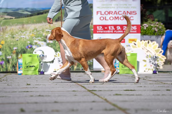 Florinka Olomouc — Florinka - sobota – 6. června 2026