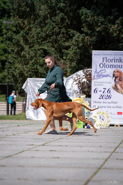 Florinka Olomouc — Florinka - sobota – 6. června 2026