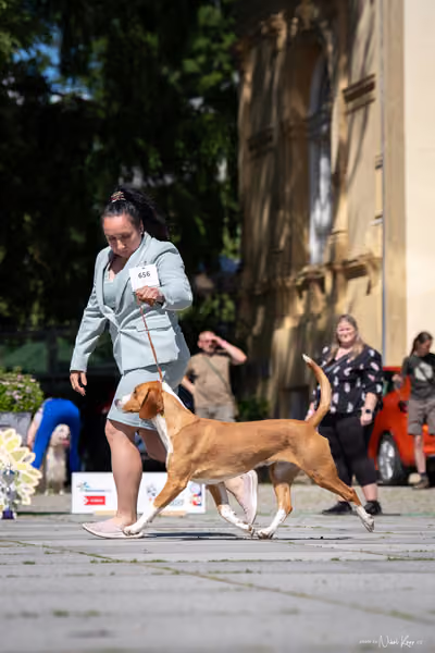 Florinka Olomouc — Florinka - sobota – 6. června 2026