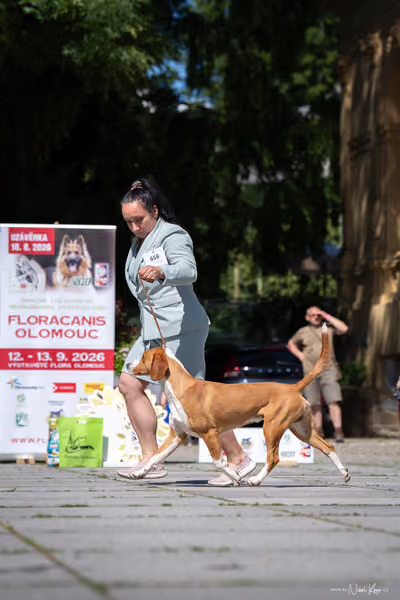 Florinka Olomouc — Florinka - sobota – 6. června 2026