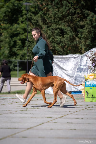Florinka Olomouc — Florinka - sobota – 6. června 2026
