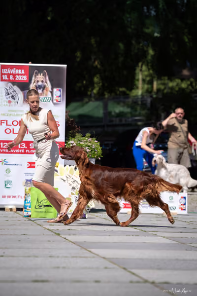 Florinka Olomouc — Florinka - sobota – 6. června 2026