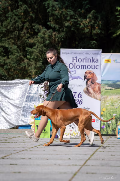 Florinka Olomouc — Florinka - sobota – 6. června 2026