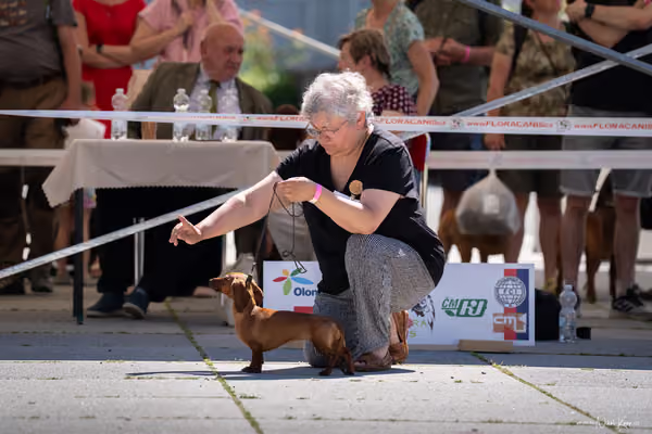 Florinka Olomouc — Florinka - sobota – 6. června 2026