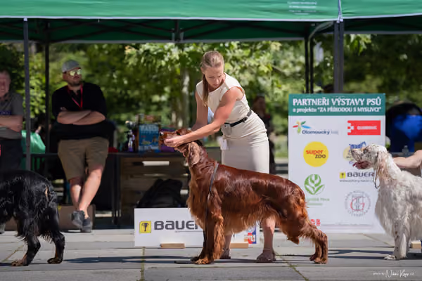 Florinka Olomouc — Florinka - sobota – 6. června 2026