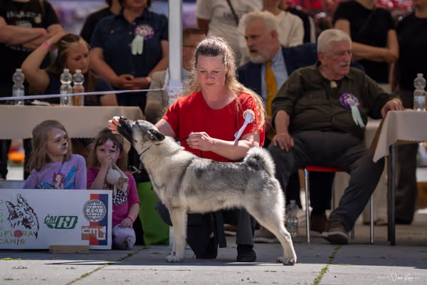 Florinka Olomouc — Florinka - sobota – 6. června 2026