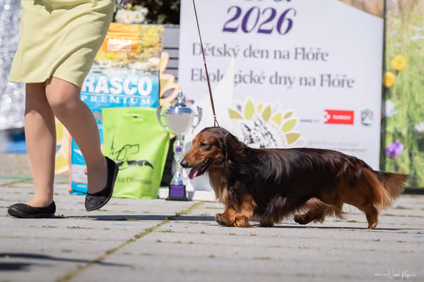 Florinka Olomouc — Florinka - sobota – 6. června 2026