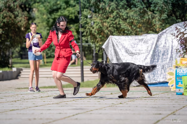 Florinka Olomouc — Florinka - sobota – 6. června 2026