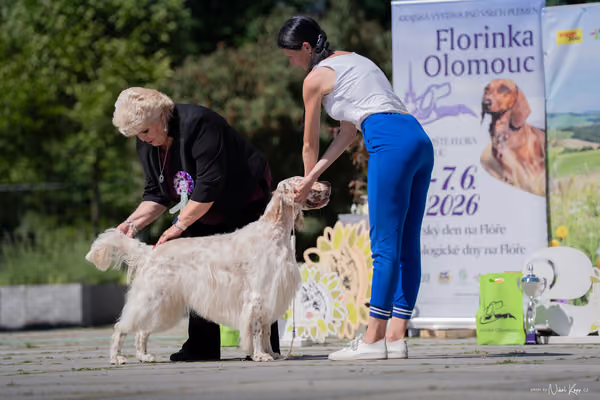 Florinka Olomouc — Florinka - sobota – 6. června 2026