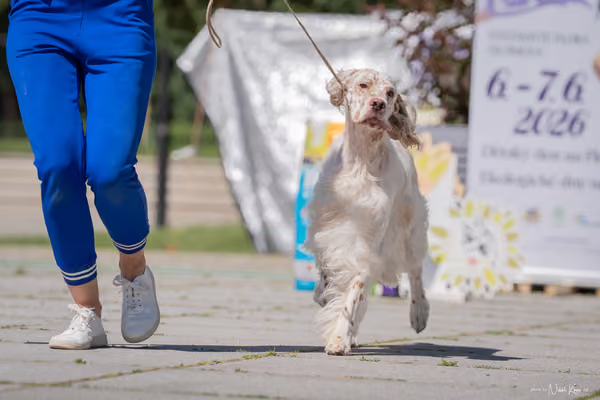 Florinka Olomouc — Florinka - sobota – 6. června 2026