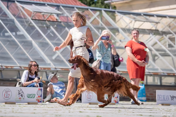 Florinka Olomouc — Florinka - sobota – 6. června 2026