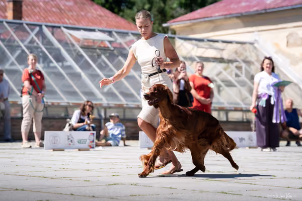 Florinka Olomouc — Florinka - sobota – 6. června 2026