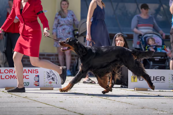 Florinka Olomouc — Florinka - sobota – 6. června 2026
