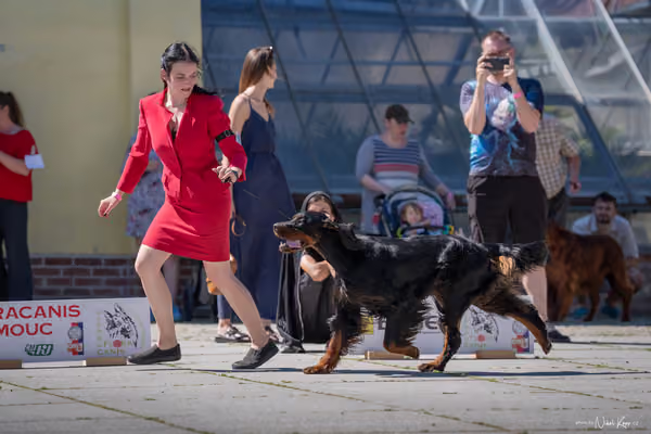 Florinka Olomouc — Florinka - sobota – 6. června 2026