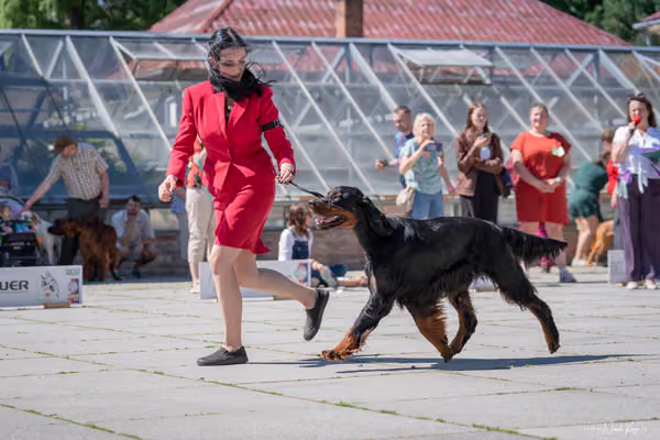 Florinka Olomouc — Florinka - sobota – 6. června 2026